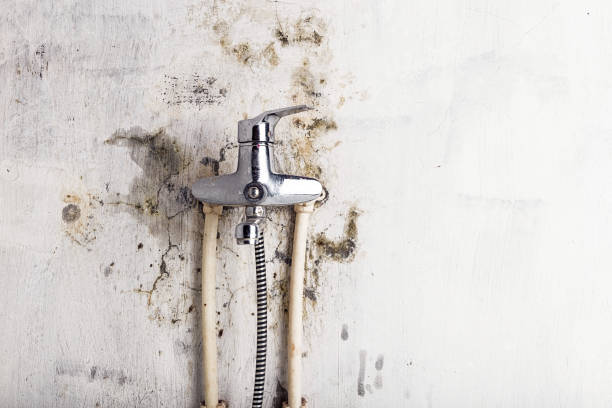 Best Industrial Mold Remediation in Eagle, WI