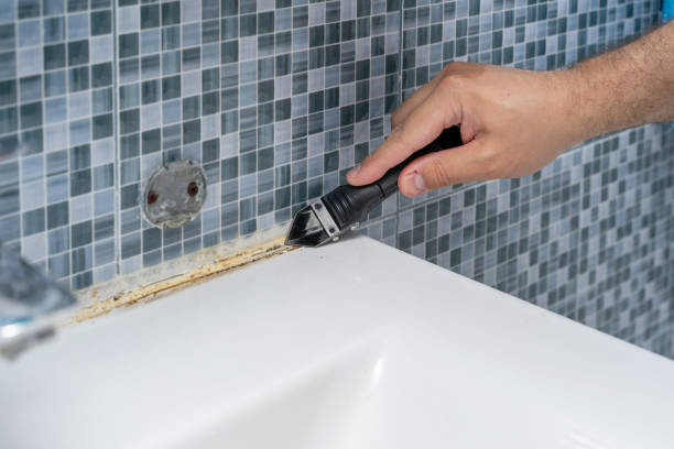 Best Mold Testing and Inspection Services in Eagle, WI